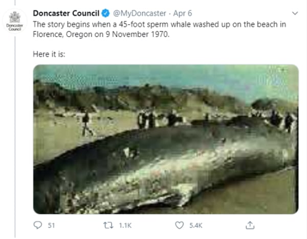 Doncaster Council Whale story