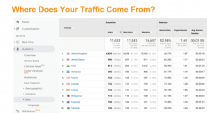 Website Traffic_International