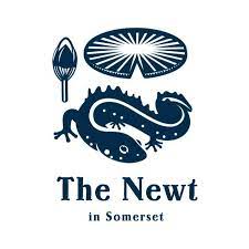 Newt in Somerset